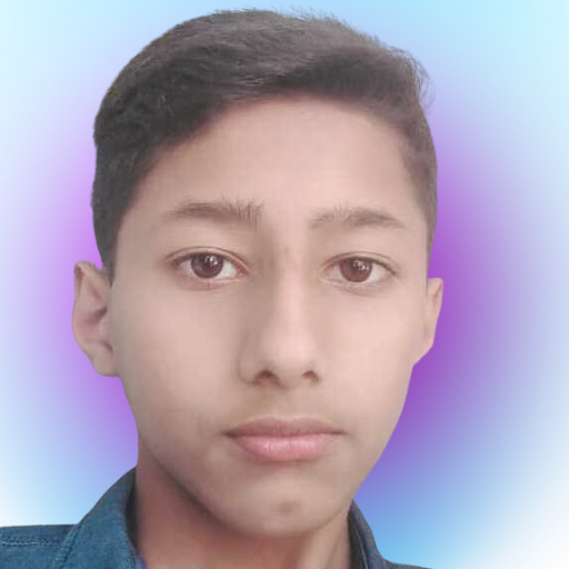 Muhammad Tayyab Awan - Web Developer & Graphic Designer